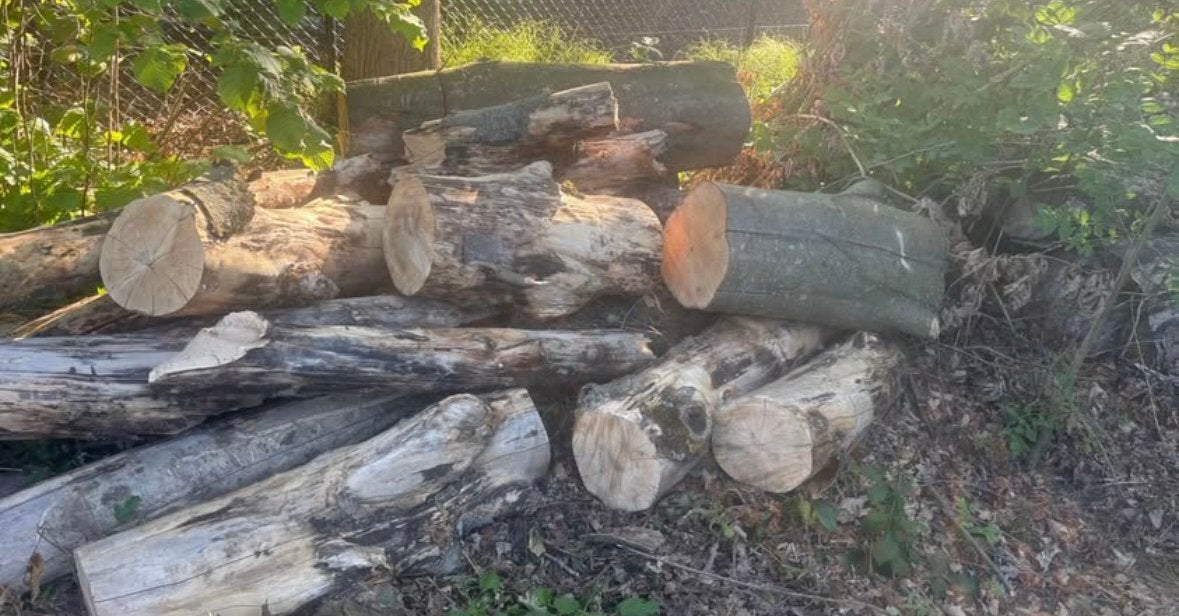 Hout te koop!, Jardin & Terrasse, Enlèvement