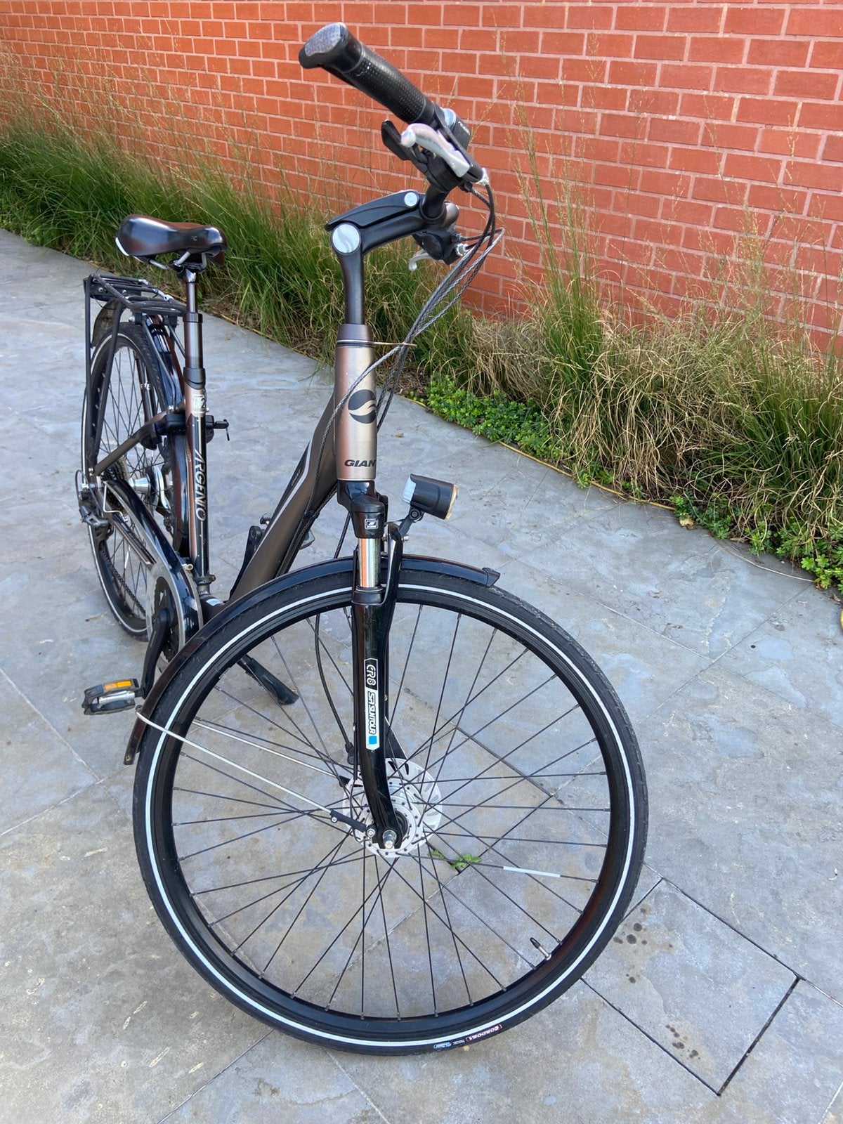 Damesfiets GIANT ALUXX TECHNOLOGY City / Trekking Bicycle, Vélos & Vélomoteurs, Vélos | Femmes | Vélos de sport & de randonnée