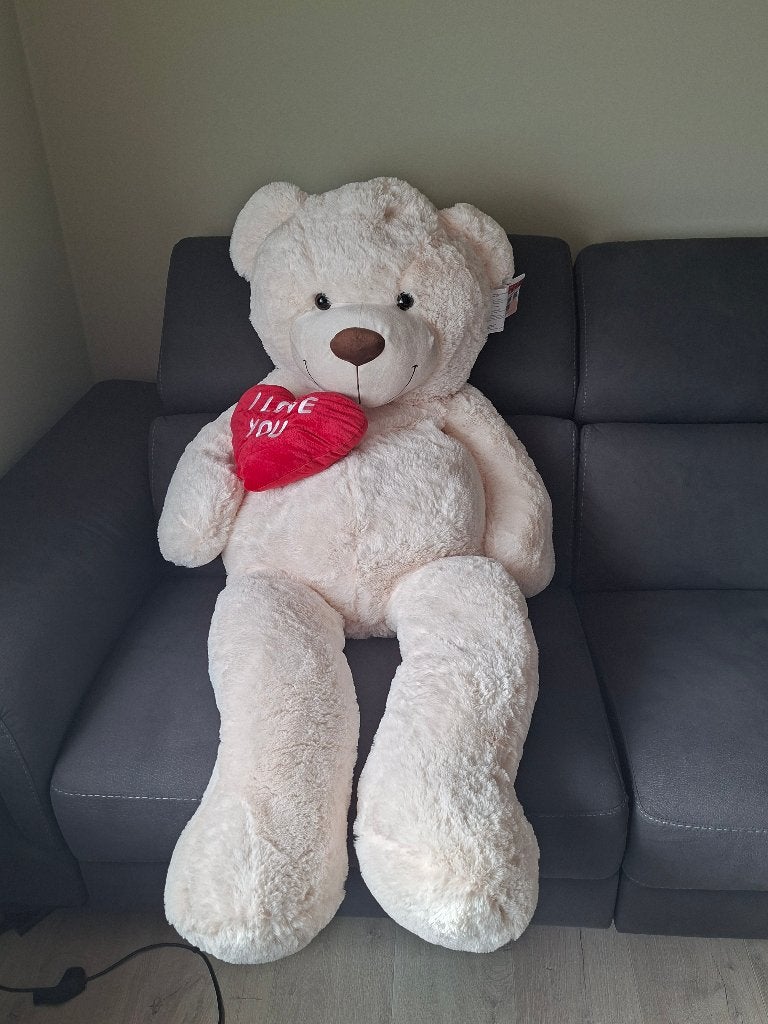 XXL teddybeer, Ophalen, Overige merken, Beer, Nieuw
