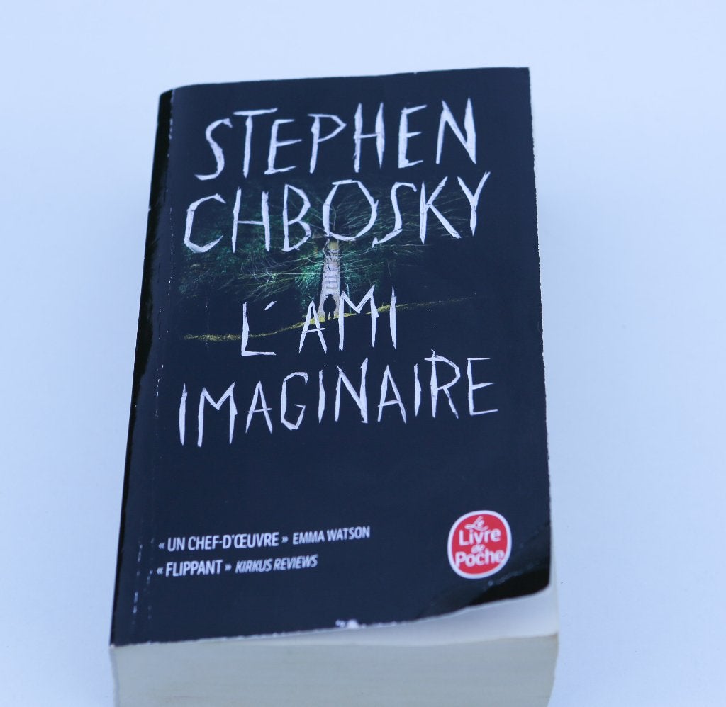 Thriller : Stephen Chbosky " L'ami imaginaire", Livres, Thrillers, Enlèvement ou Envoi, Stephen Chbosky