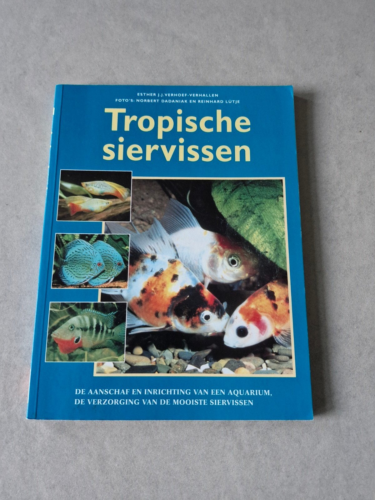 Tropische siervissen - Esther J.J. Verhoef-Verhallen, Ophalen of Verzenden, Vissen, Esther J.J. Verhoef-Verhallen