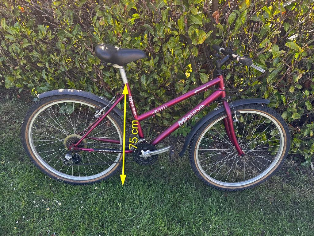 Vélo VTT Minerva 21 vitesses, Frein sur jante, 45 à 49 cm, Enlèvement, Utilisé