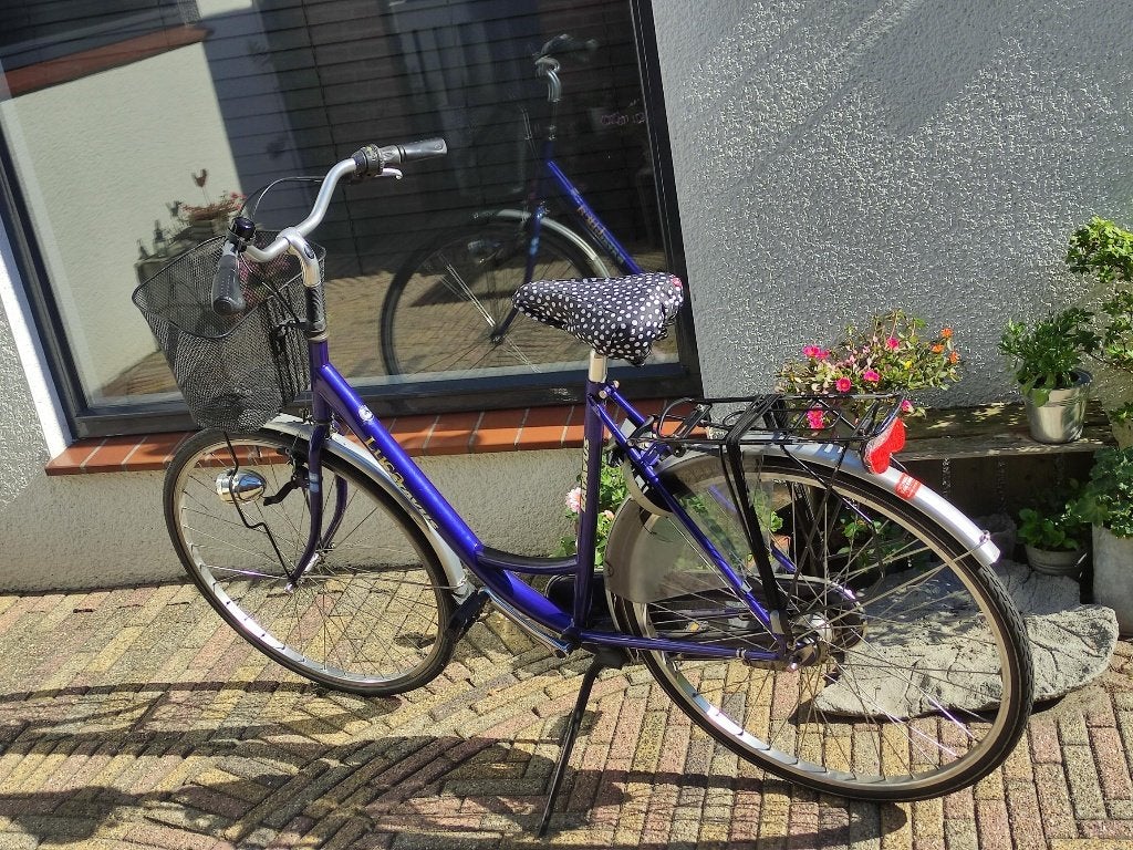 Damesfiets Batavus Luca, Fietsen en Brommers, Fietsen | Dames | Damesfietsen, Ophalen, Terugtraprem, Batavus, 53 tot 56 cm