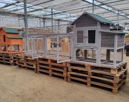 KIPPENHOK KOOPDAGEN, Dieren en Toebehoren, Ophalen