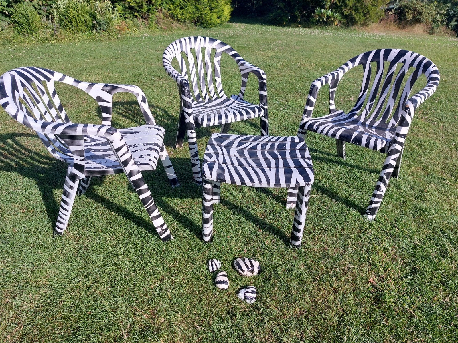 Ensemble Zebra, Enlèvement