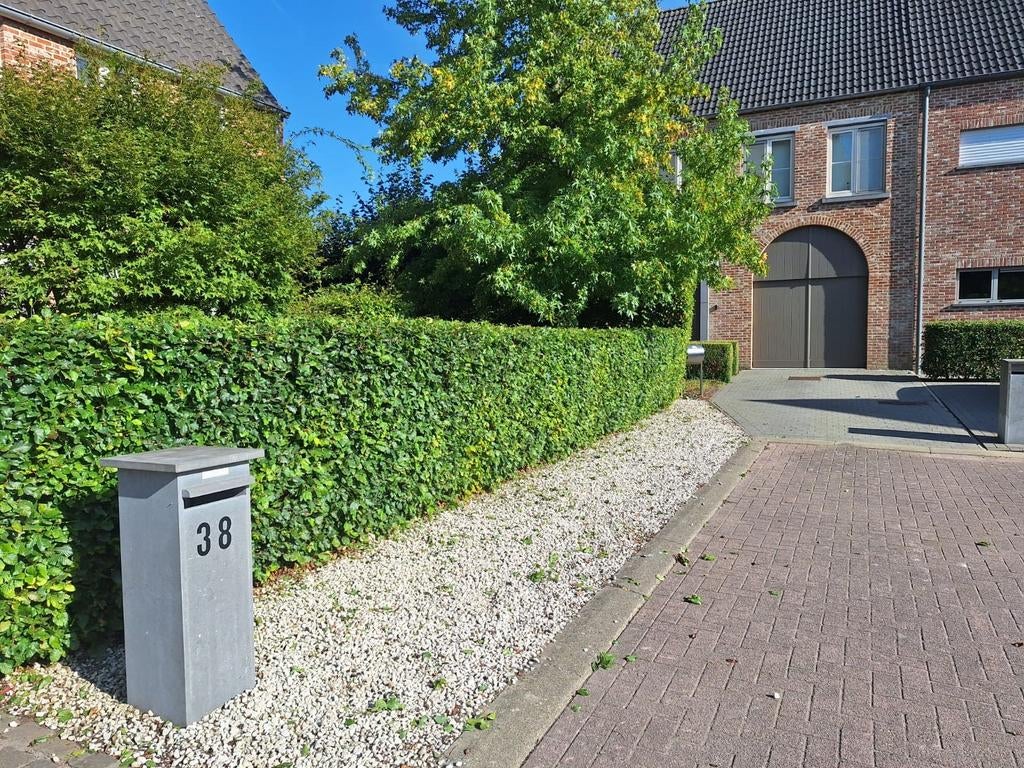 Tuinservice – jonge en gemotiveerde tuinman, Ophalen, Binnen