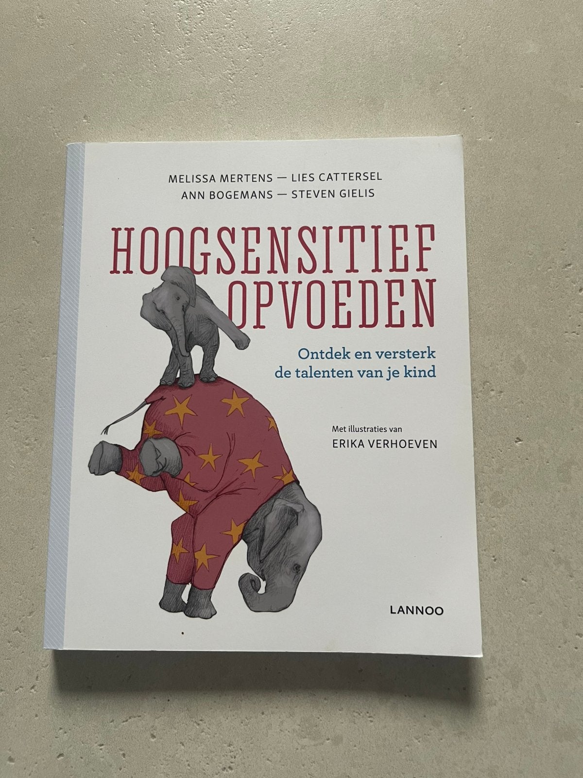 Ann Bogemans - Hoogsensitief opvoeden, Livres, Grossesse & Éducation, Enlèvement ou Envoi, Éducation à partir de 10 ans, Comme neuf