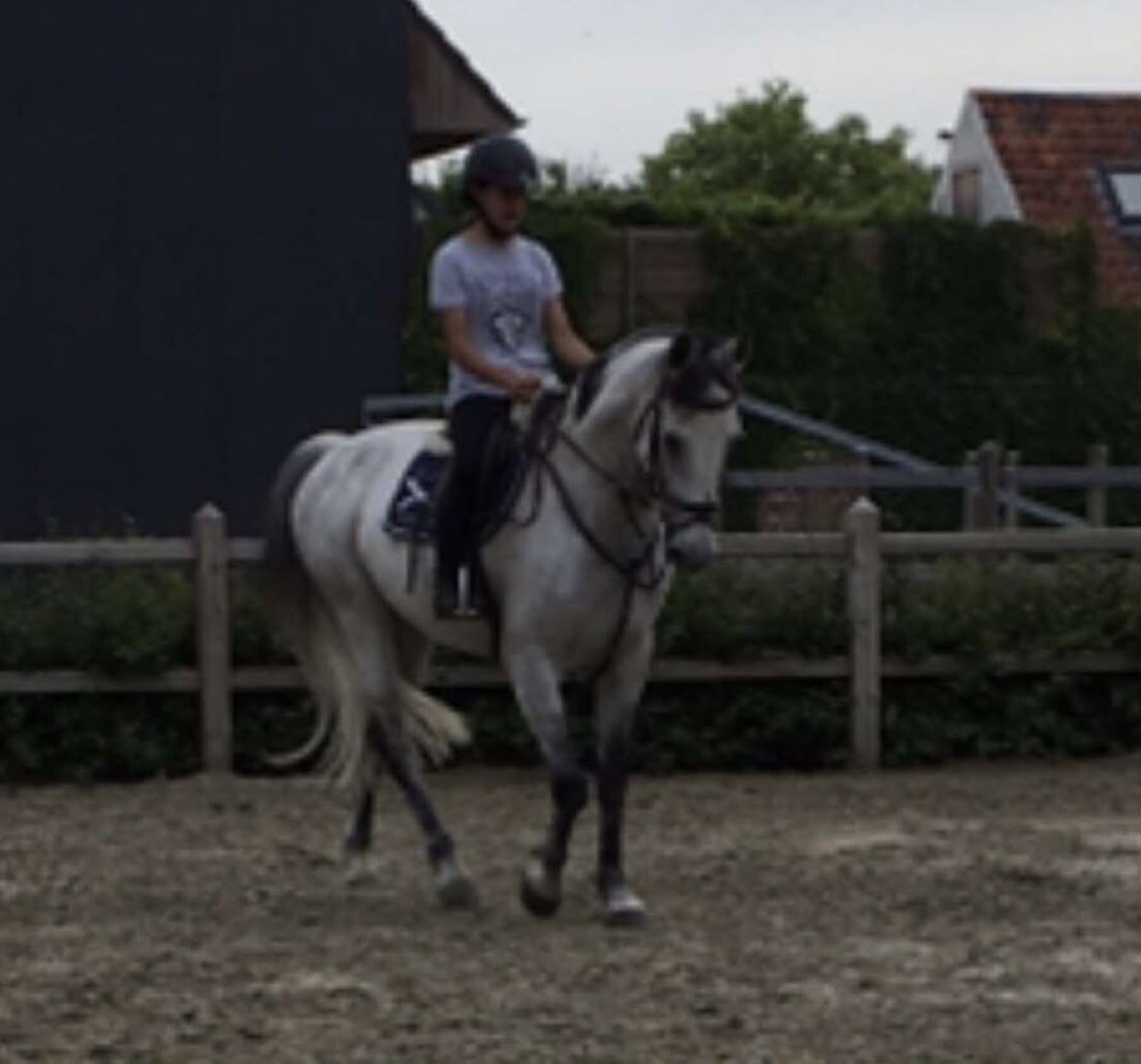 2 Ruinen te koop!, Dieren en Toebehoren