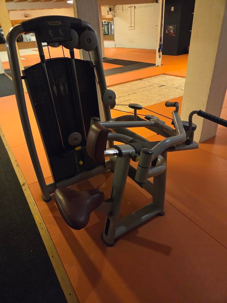 Upper back Technogym, Sport en Fitness, Ophalen, Rug