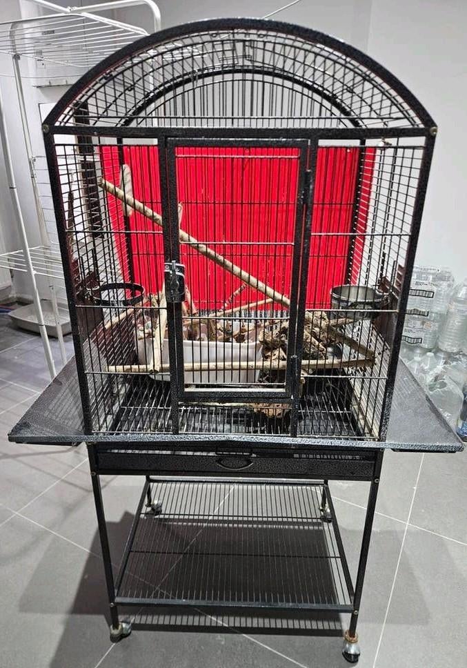 Vogelkooi, Dieren en Toebehoren, Ophalen of Verzenden, Zo goed als nieuw, Metaal, Vogelkooi