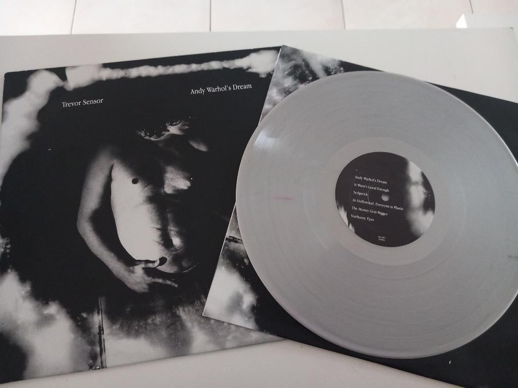Vinyl LP Trevor Sensor Andy Warhol's Dream Indie Rock Pop, Ophalen of Verzenden, 12 inch