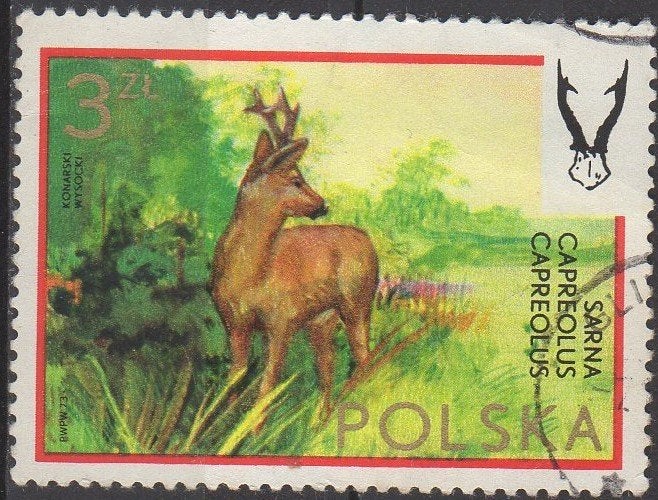 Polen - Ree - 1973, Ophalen of Verzenden, Polen, Gestempeld