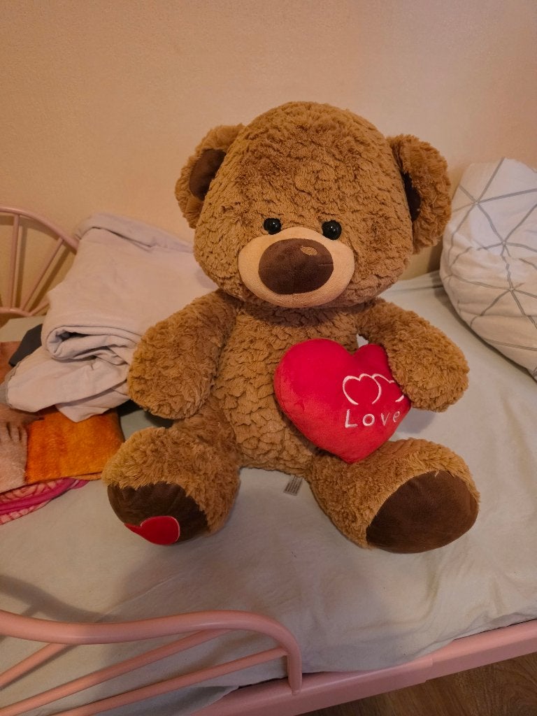 Teddybeer, Ophalen, Nieuw, Middelgroot (20 tot 80 cm)