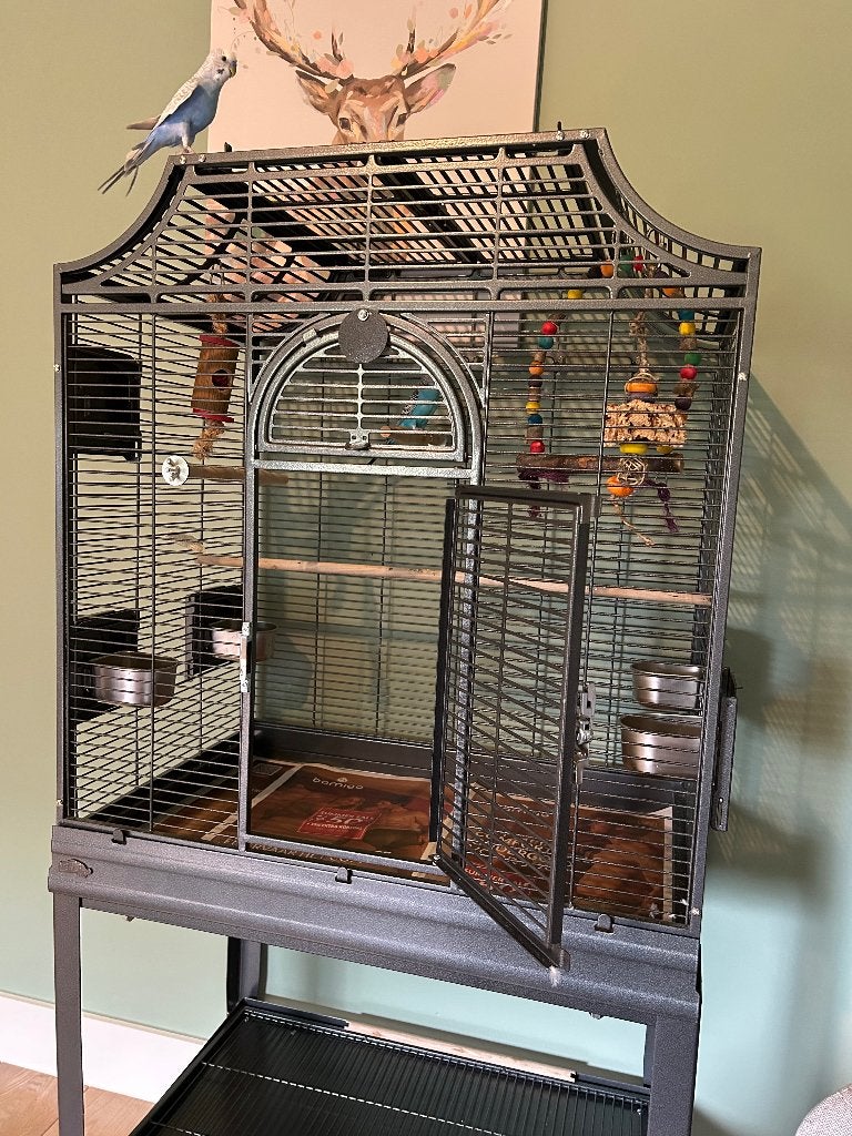 Nieuwe grote vogelkooi met 2 grasparkieten, Dieren en Toebehoren, Ophalen, Nieuw, Vogelkooi