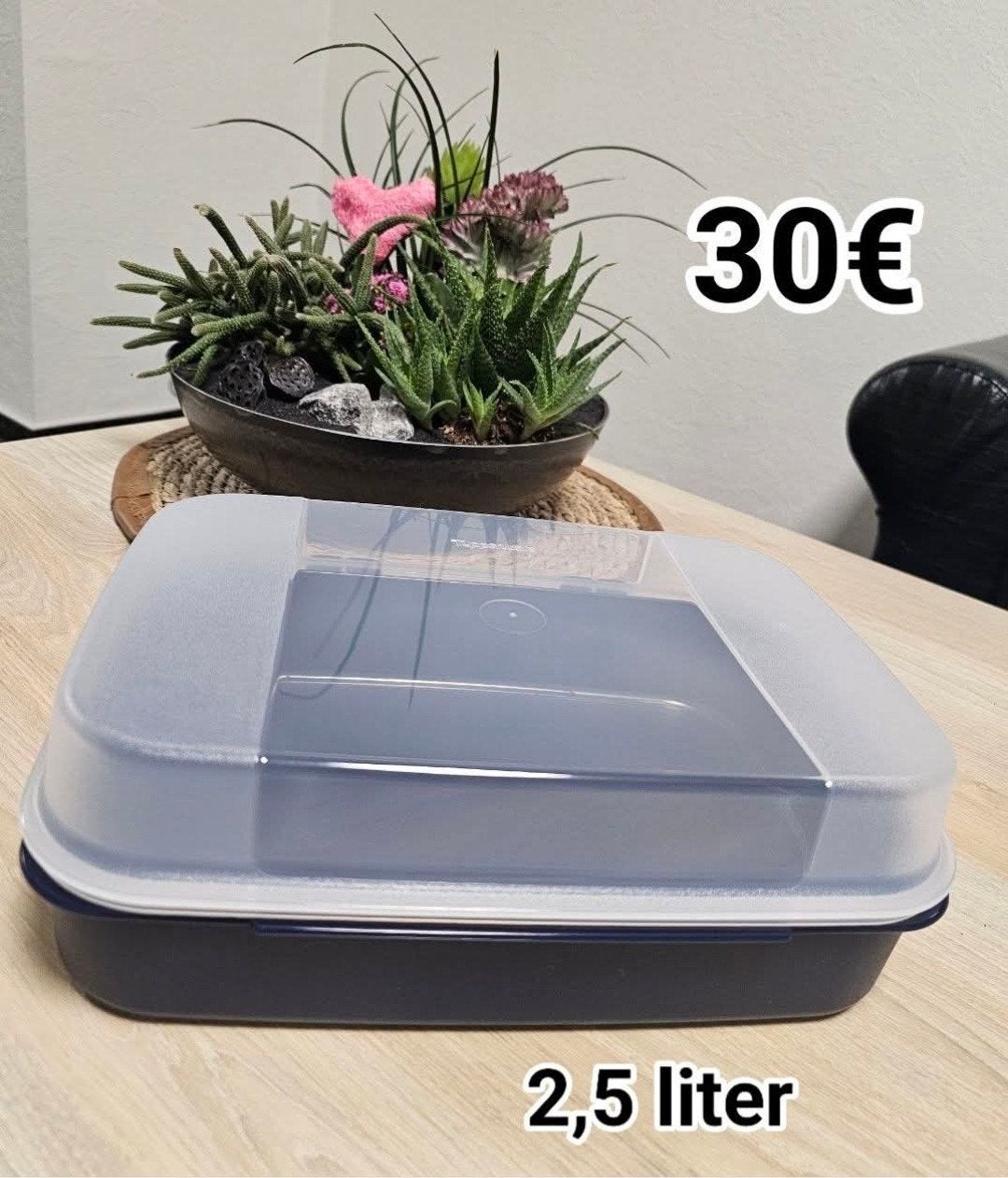 Boîte à charnières Tupperware, Enlèvement ou Envoi, Neuf