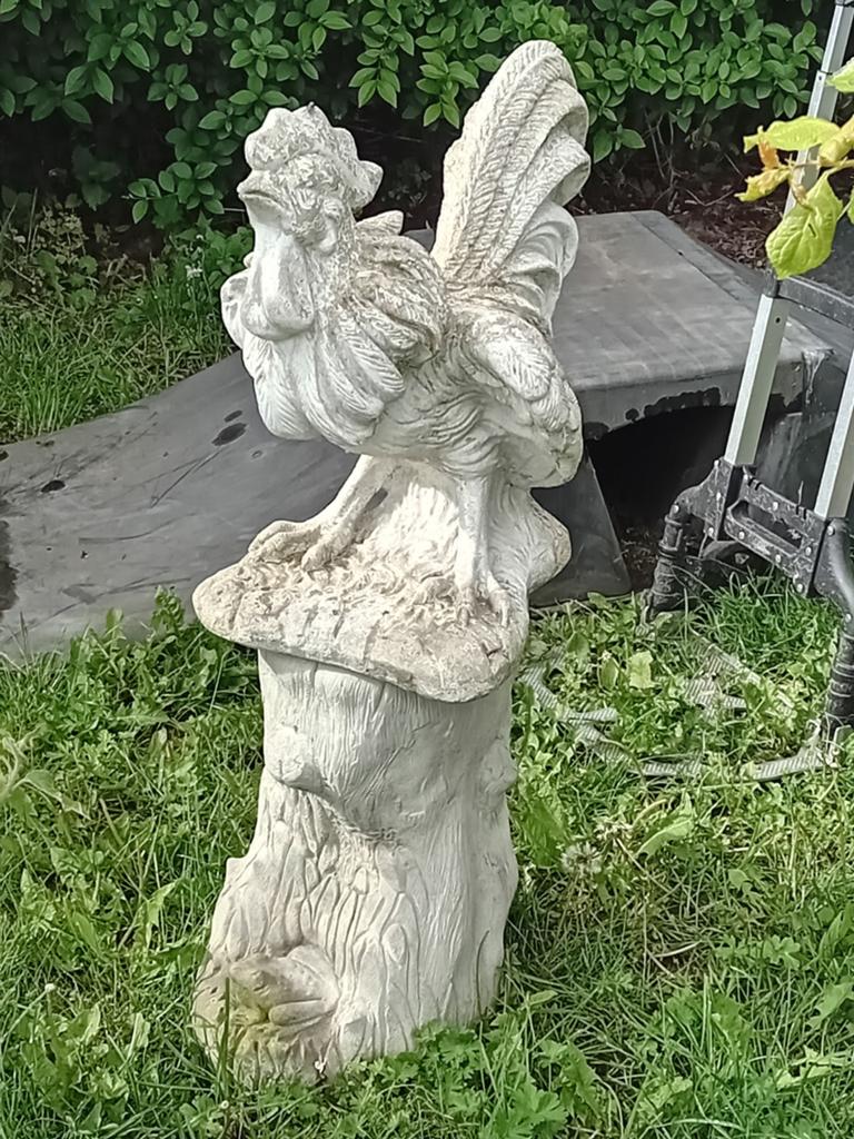 Haan op voet, Tuin en Terras, Tuinbeelden, Ophalen