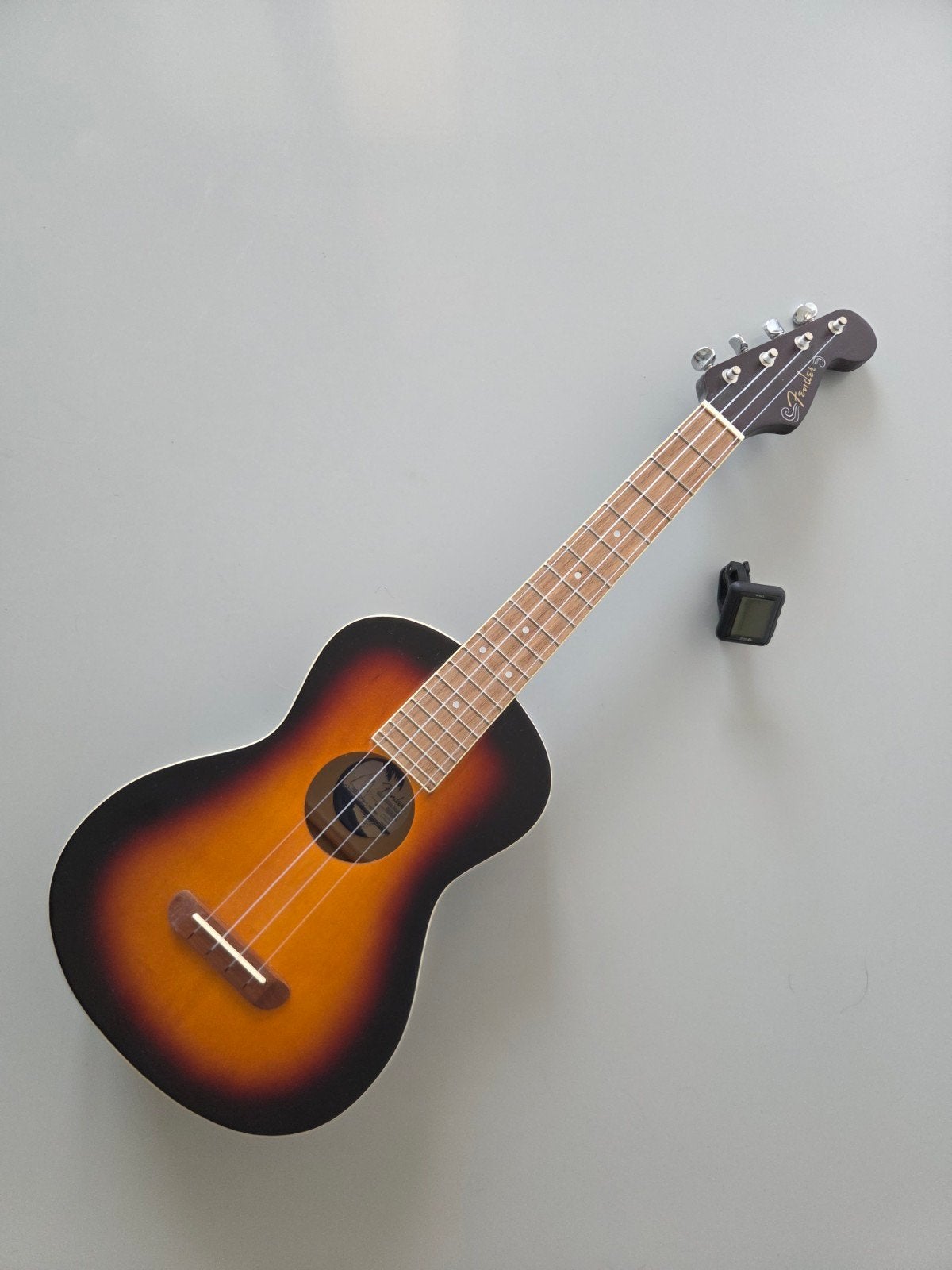 Ukulele Fender NIEUW, Ophalen