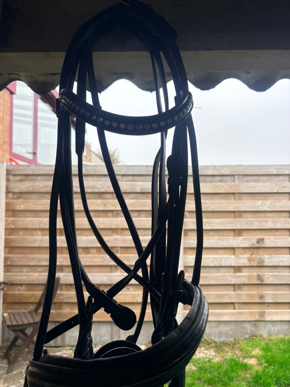 Hoofdstell te koop nieuw, Dieren en Toebehoren, Hoofdstel, Recreatie, Zacht onderlegd, Nieuw