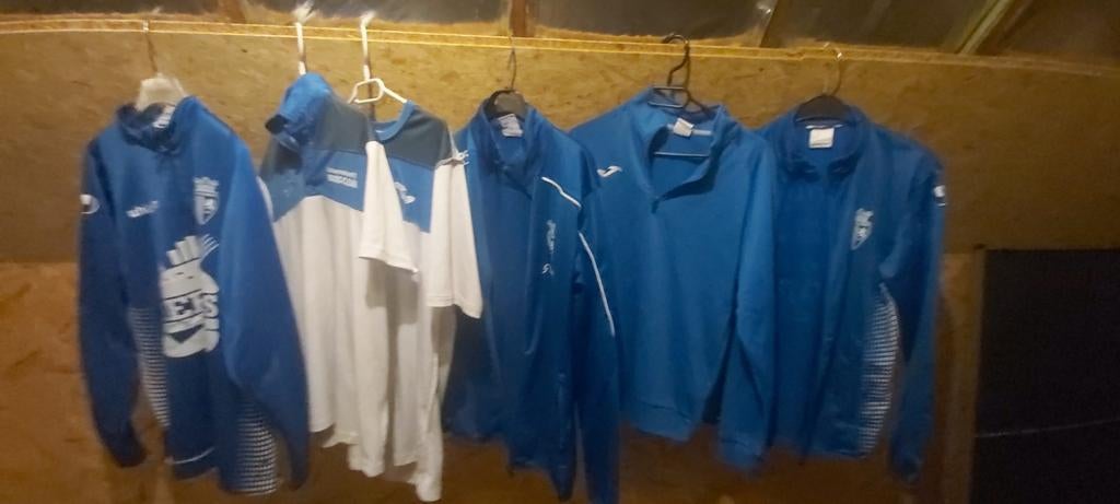 Polo's en sweaters voor heren, Ophalen, Zo goed als nieuw, Maat 48/50 (M)