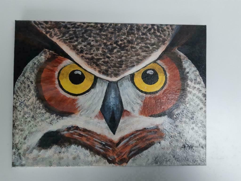 Handgeschilderd schilderij 30x40 cm uil, Antiek en Kunst, Ophalen of Verzenden