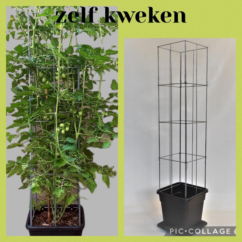 Verticale tuin, plantenrekken klimplantenrek tuinrekken, Enlèvement ou Envoi, Printemps, Plein soleil, Plantes fruitières