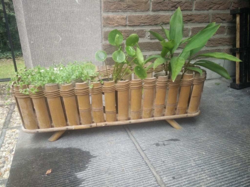 Bamboe plantenbak, Tuin en Terras, Ophalen