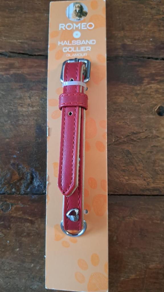 Honden halsband Rood S/XS, Dieren en Toebehoren, Ophalen of Verzenden, Nieuw