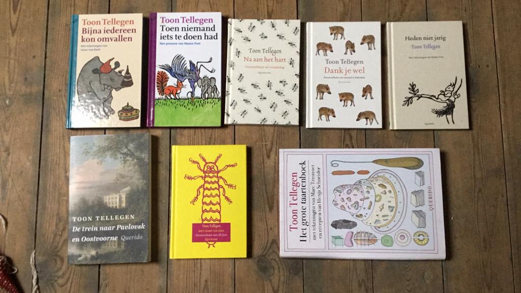 Toon Tellegen - lot boeken, Boeken, Ophalen of Verzenden, Zo goed als nieuw