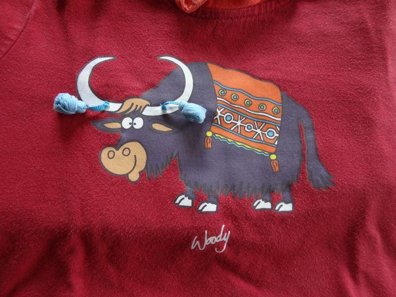 Woody Pyjama’s met lange mouw  maat 104, Ophalen of Verzenden, Zo goed als nieuw, Meisje, Nacht- of Onderkleding