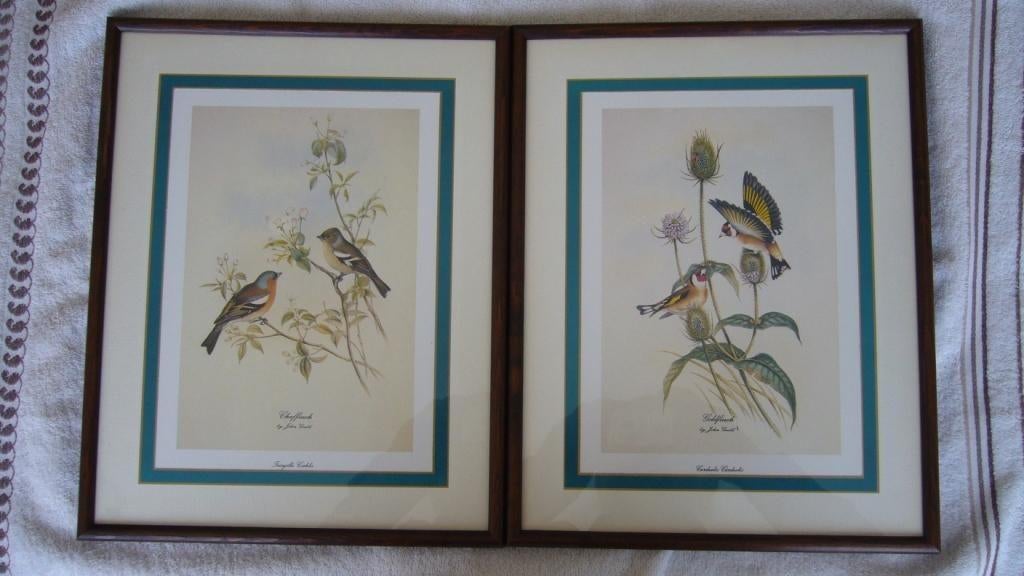 KADERS (2) + VOGELPRINTS, Huis en Inrichting, Woonaccessoires | Lijsten, Nieuw, Hout, Ophalen
