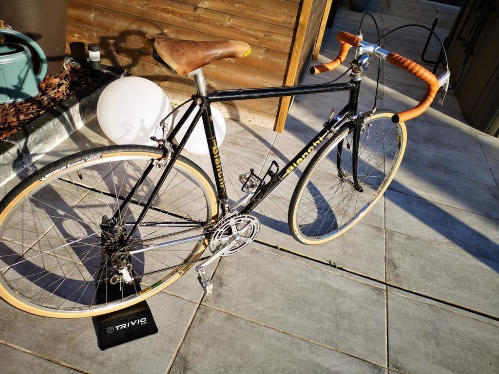 Goed bewaarde retro Bianchi, Ophalen