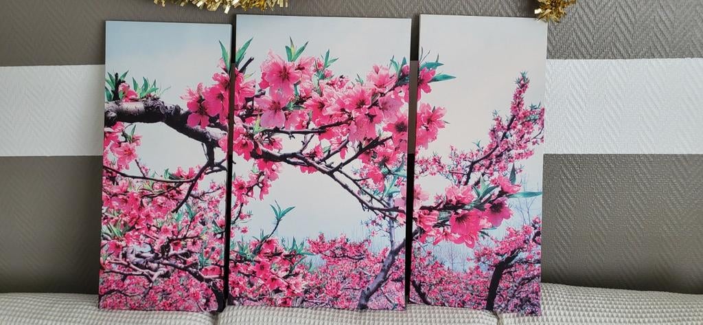 3 canvas doeken, Huis en Inrichting, Ophalen, Minder dan 50 cm, Gebruikt, 50 tot 75 cm
