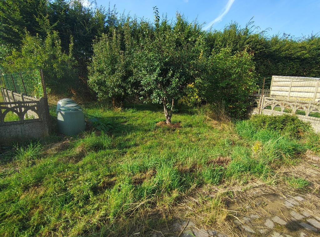 Tuinman in bijberoep, Diensten en Vakmensen, Tuinonderhoud of Snoeiwerk