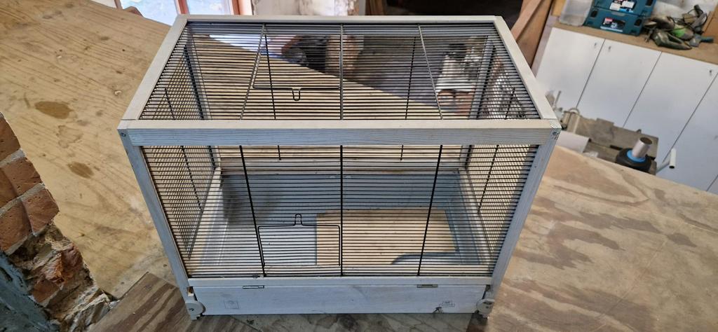 Hamsterkooi, Dieren en Toebehoren, Hamster, Mei, Meerdere dieren, Tam