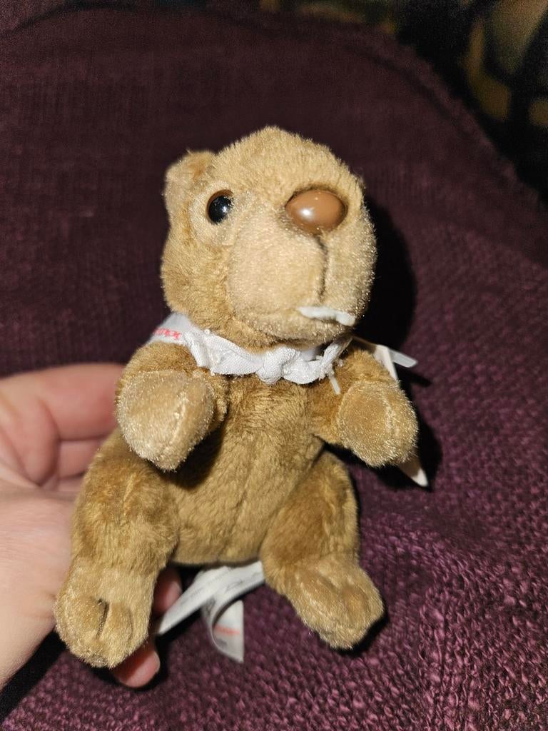 Mini knuffel bever (sleutelhanger), Enlèvement ou Envoi