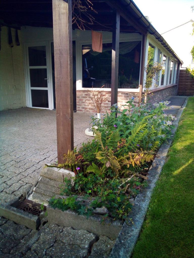 Af te werken alleenstaand huis met grote tuin, Province de Flandre-Orientale, 500 à 1000 m², 4 pièces, Aalst 9300