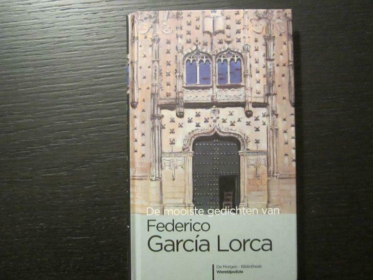 De mooiste gedichten van Federico Garcia Lorca, Boeken, Gedichten en Poëzie, Ophalen of Verzenden, Gelezen