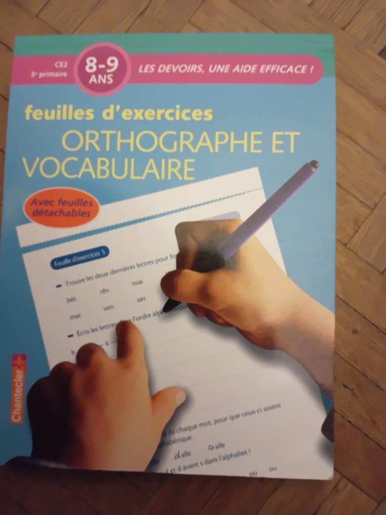 Feuilles d exercices orthographe et vocabulaire 8 ans 9 ans, Enlèvement ou Envoi, Français