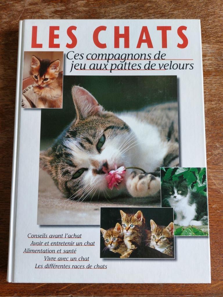 Les chats, ces compagnons de jeu aux pattes de velours, Enlèvement ou Envoi, Comme neuf