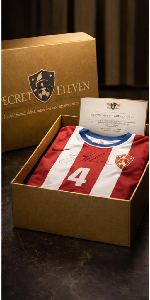 Mysterie box - supreme, Verzenden, Nieuw, Shirt