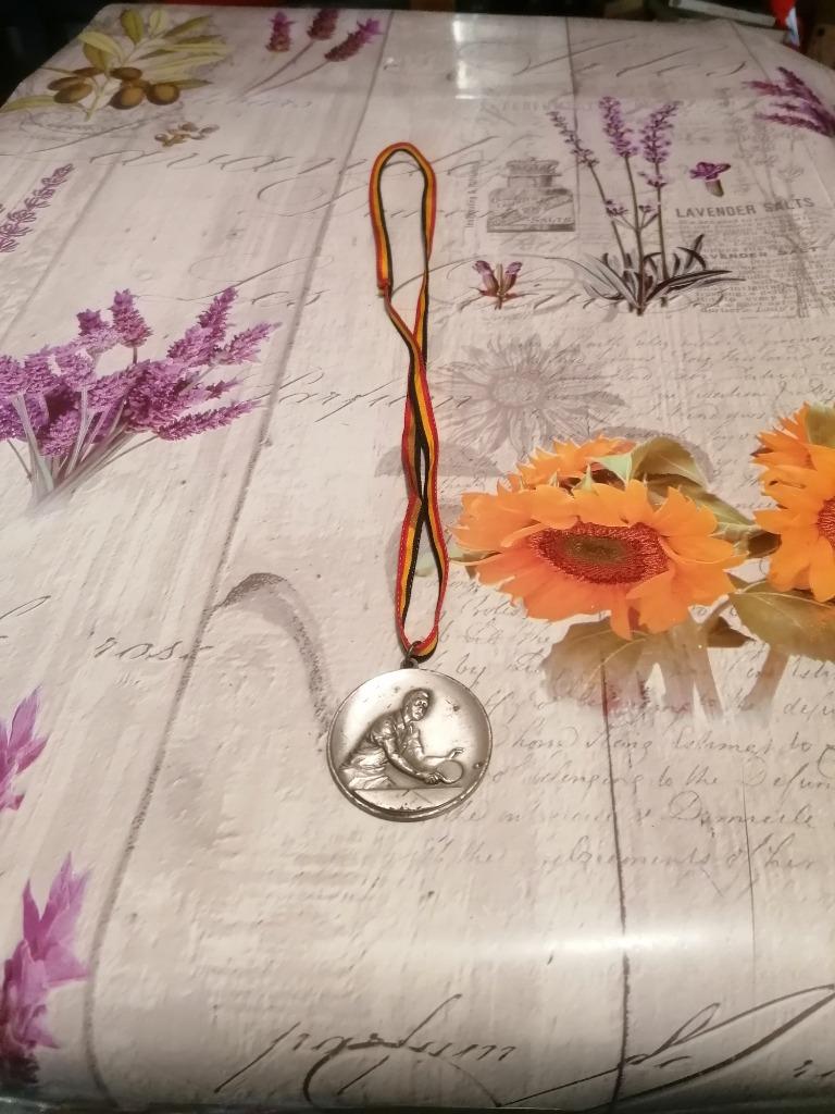 Ancienne médaille., Enlèvement ou Envoi, Utilisé, Autres types