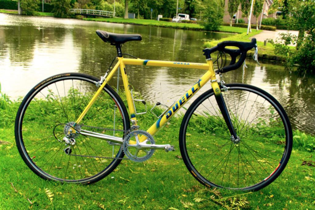 Duel Performance Jan van Dalen Chorus 9 speed, Fietsen en Brommers, Overige merken, 28 inch, Gebruikt, Staal