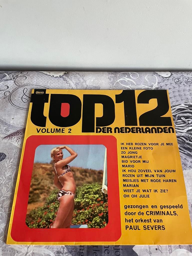 – Top 12 Der Nederlanden Volume 2, Cd's en Dvd's, Vinyl | Nederlandstalig, Ophalen of Verzenden