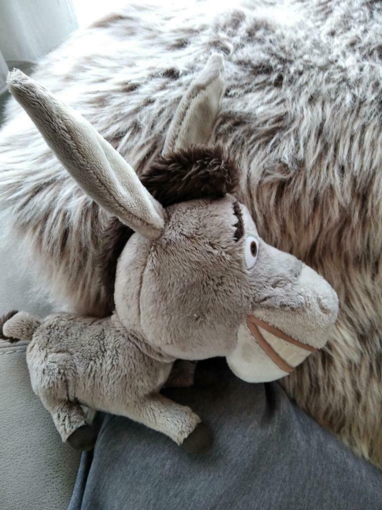 Knuffel ezel en poppetje  Shrek, Ophalen of Verzenden, Nieuw