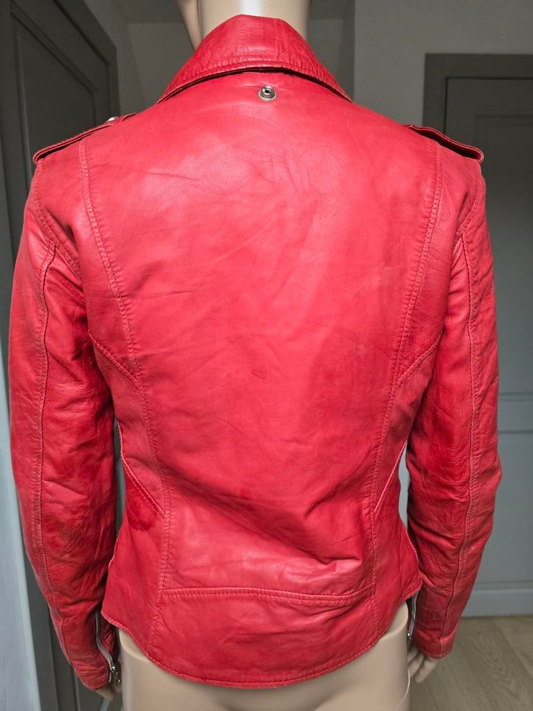Perfecto Schott Vintage XS, Rouge, Schott, Taille 34 (XS) ou plus petite, Porté