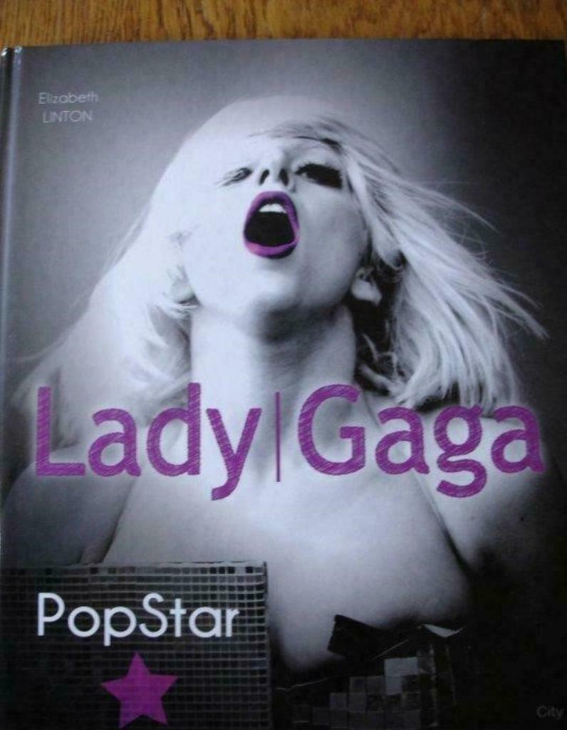 Livre " Lady Gaga, Pop Star"., Ophalen of Verzenden, Zo goed als nieuw, Artiest