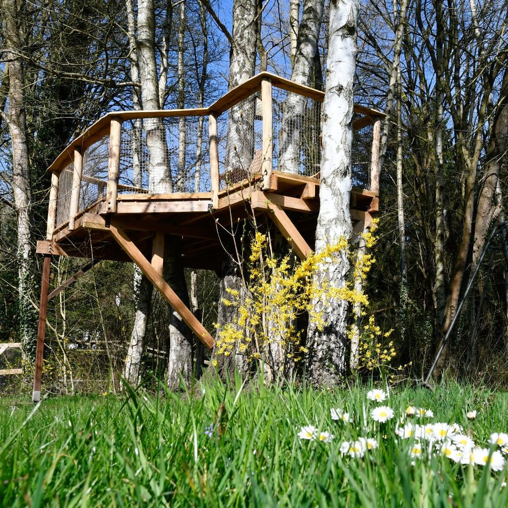 Boomhutten en boomterrassen, Verzenden, Nieuw, Hout