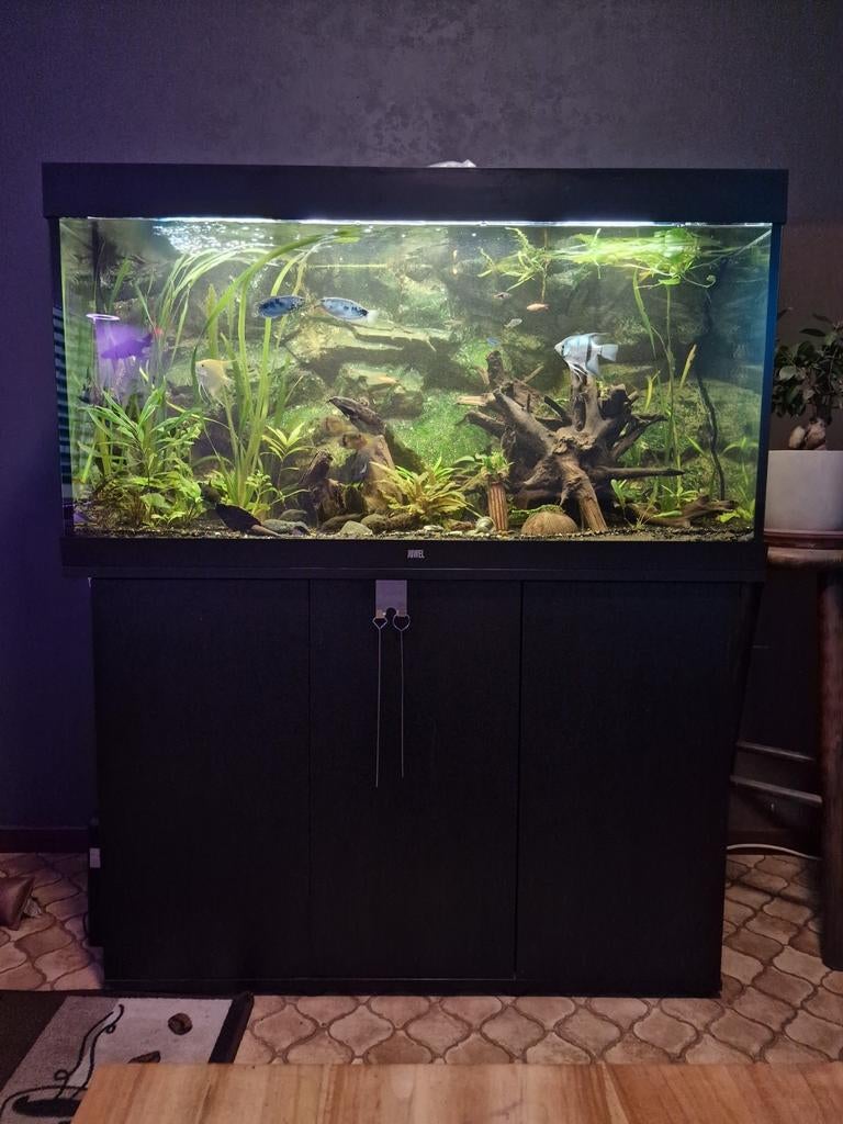 Juwel 350l, Dieren en Toebehoren, Ophalen, Gebruikt, Leeg aquarium