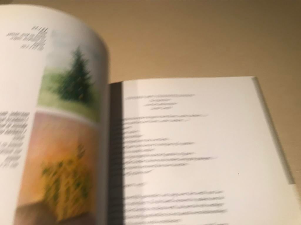 Guy Rombouts en Leo Copers Sculpturen 80pag, Boeken, Ophalen of Verzenden, Zo goed als nieuw, Beeldhouwkunst