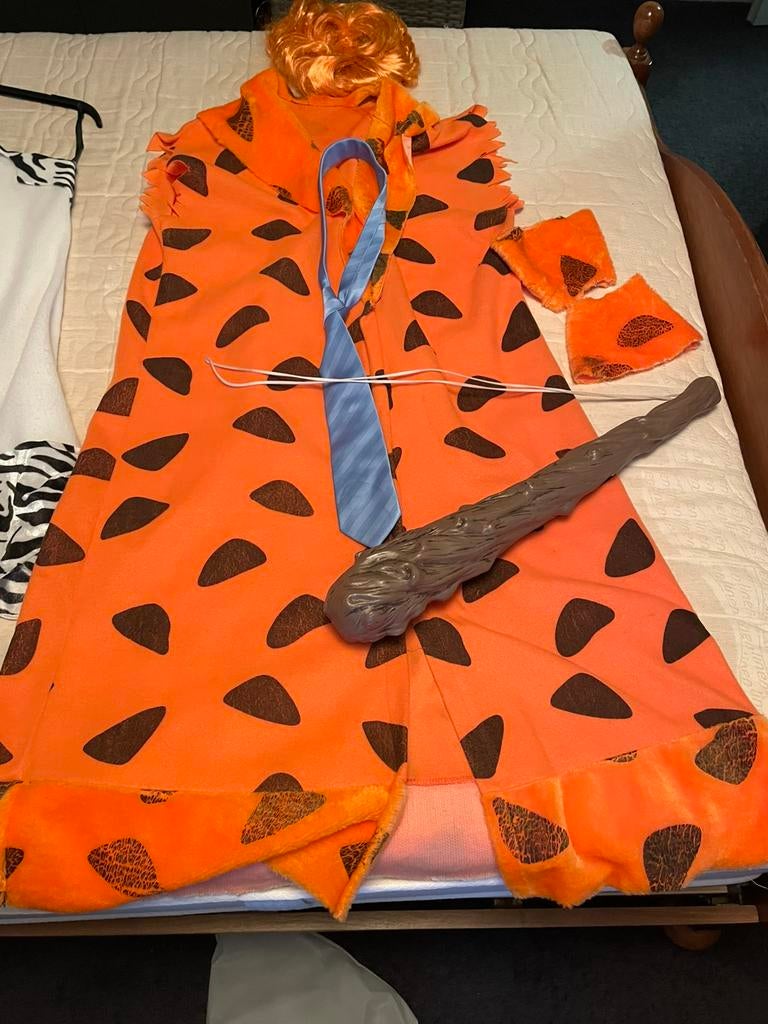 Diverse carnavalskleding, Kleding | Heren, Carnavalskleding en Feestkleding, Ophalen, Maat 52/54 (L)